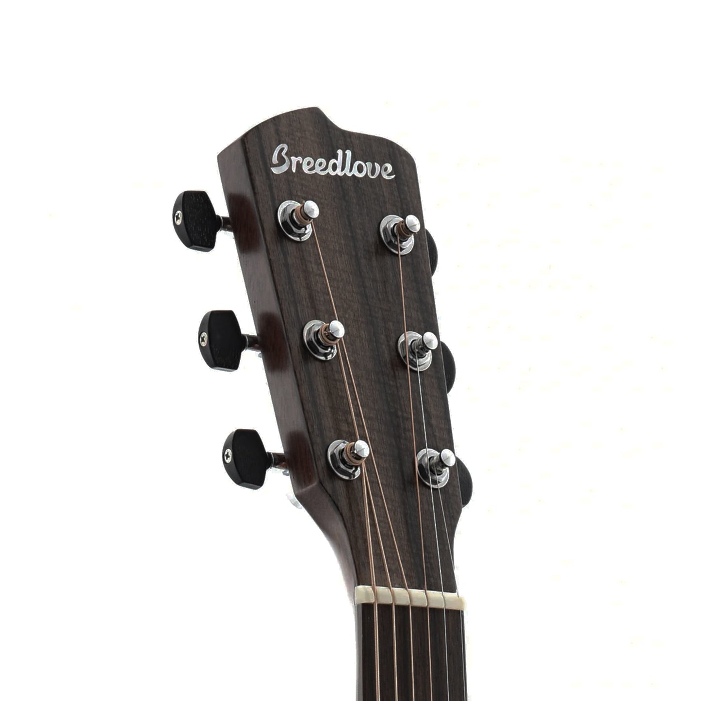 Breedlove Wildwood Pro Concertina CE Suede