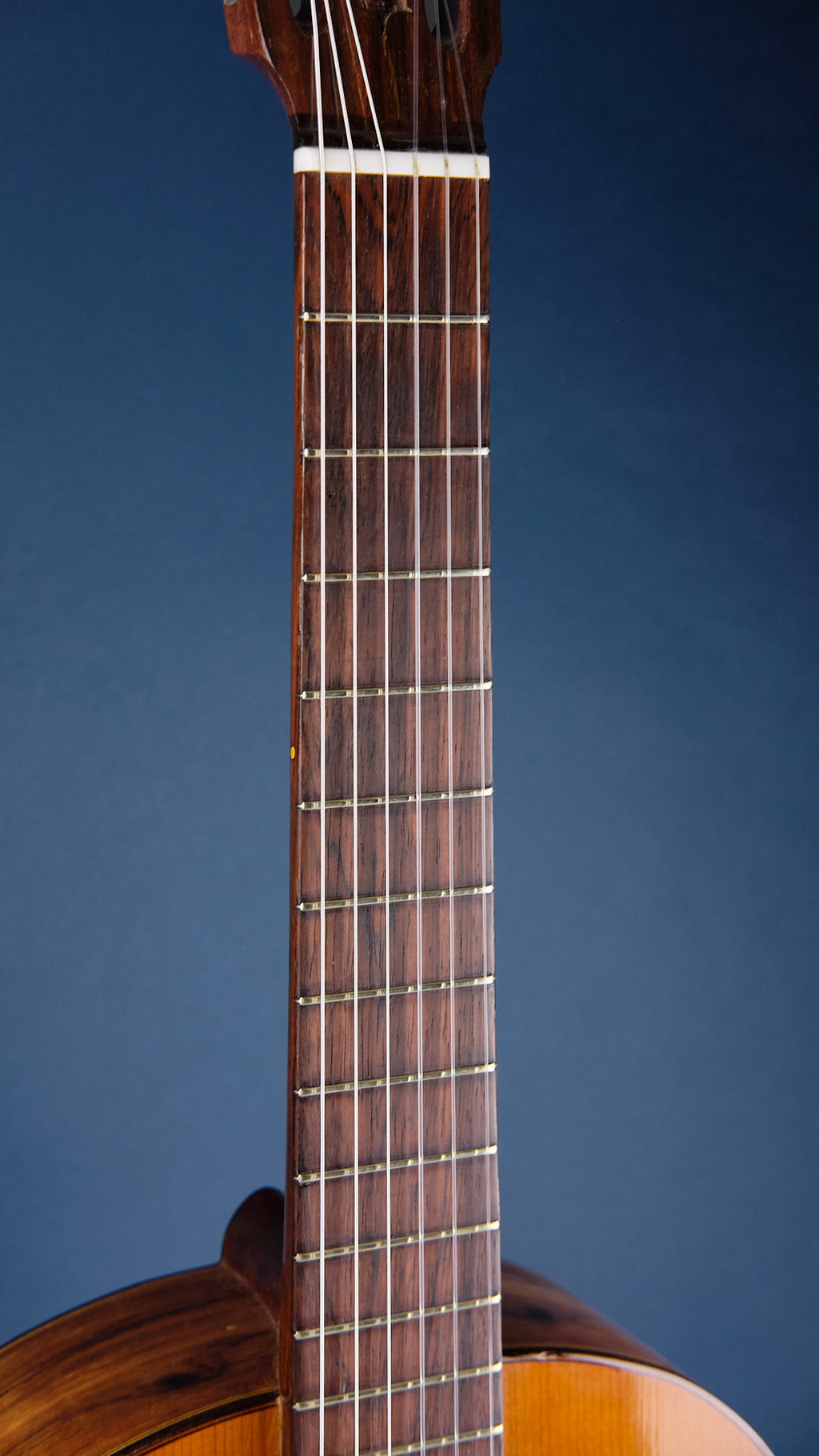 1977 Di Giorgio 'Classico' No. 28