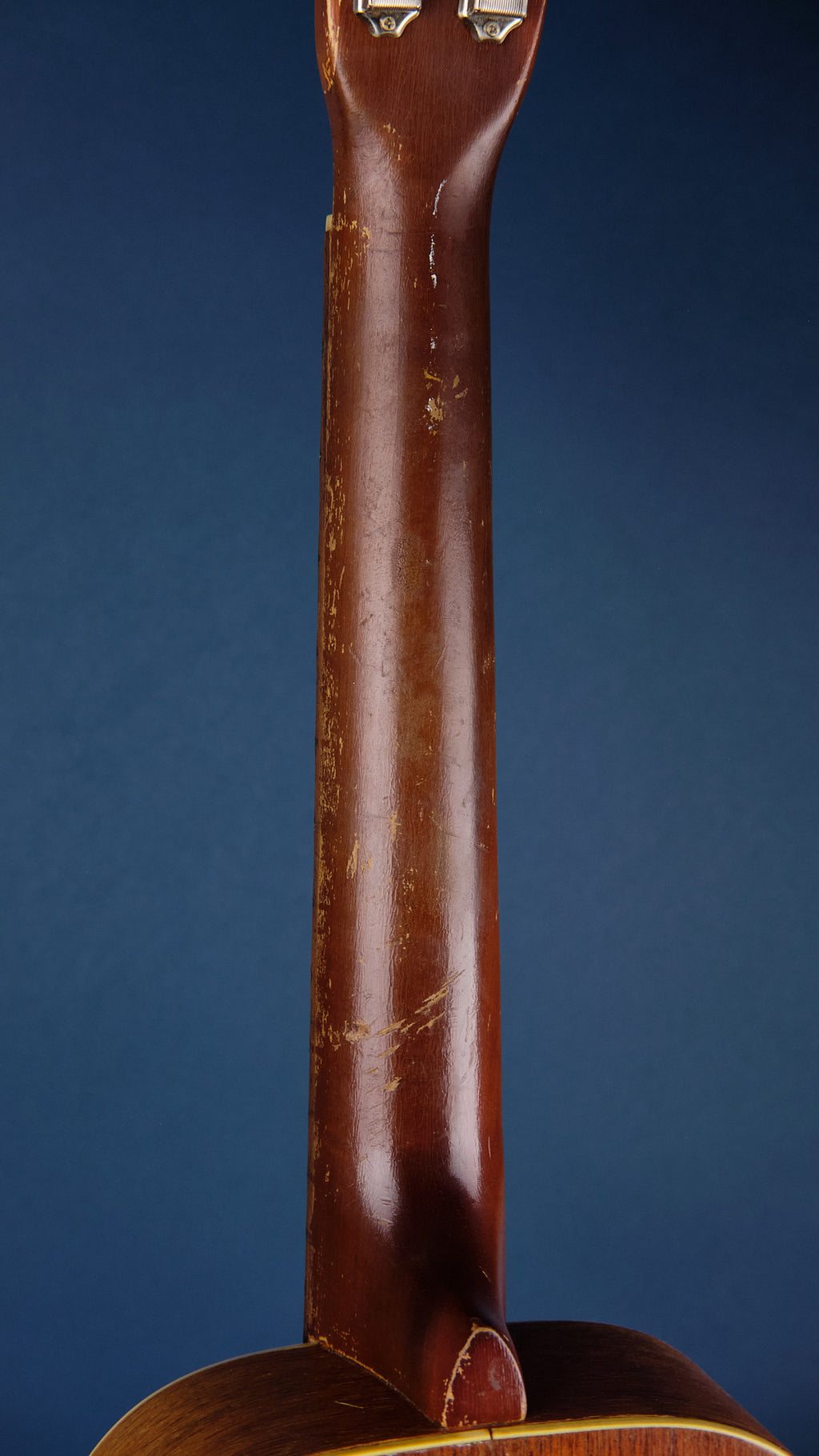 1950s Kay K12 Terz Natural