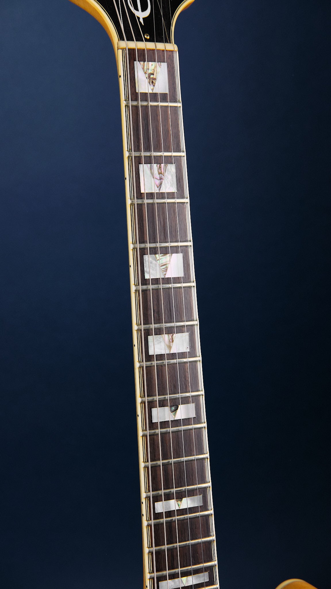 1984 Epiphone Sheraton Natural