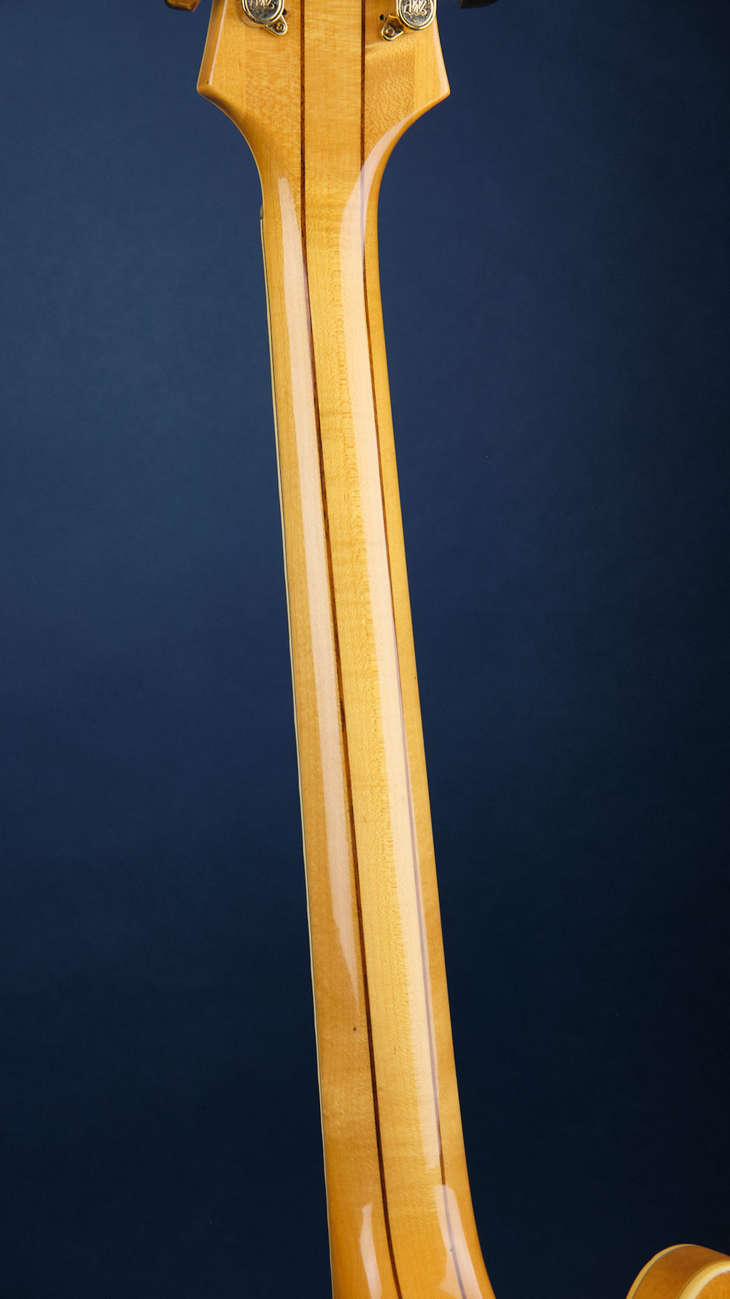 1984 Epiphone Sheraton Natural