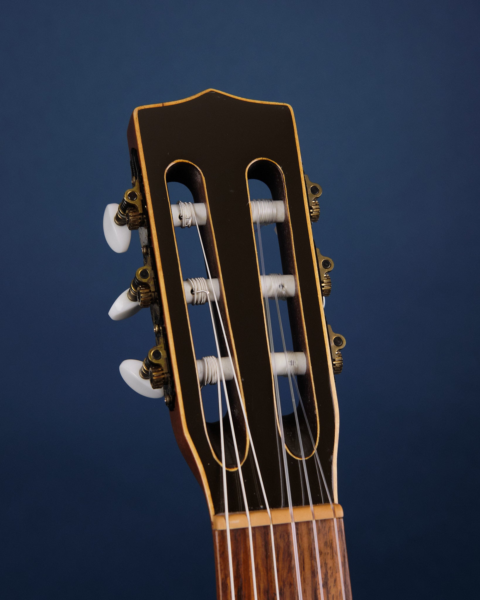 Godin LaPatrie Collection Cedar (Second-Hand)