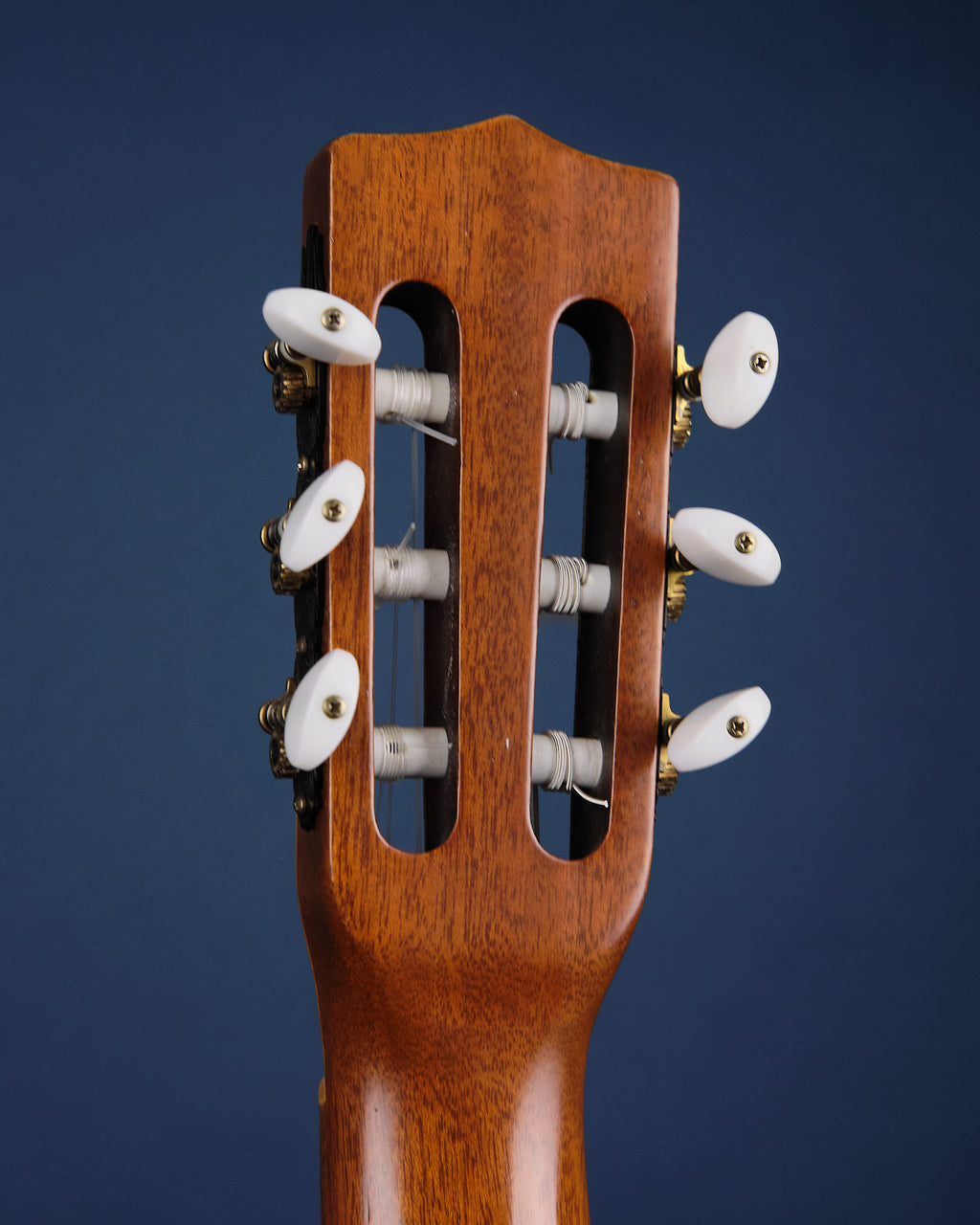 Godin LaPatrie Collection Cedar (Second-Hand)