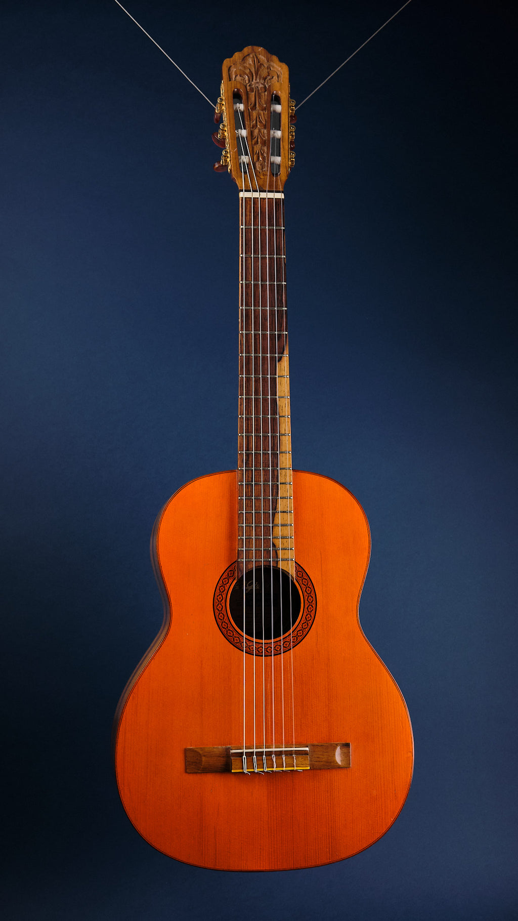 1975 Di Giorgio Signorina No. 16