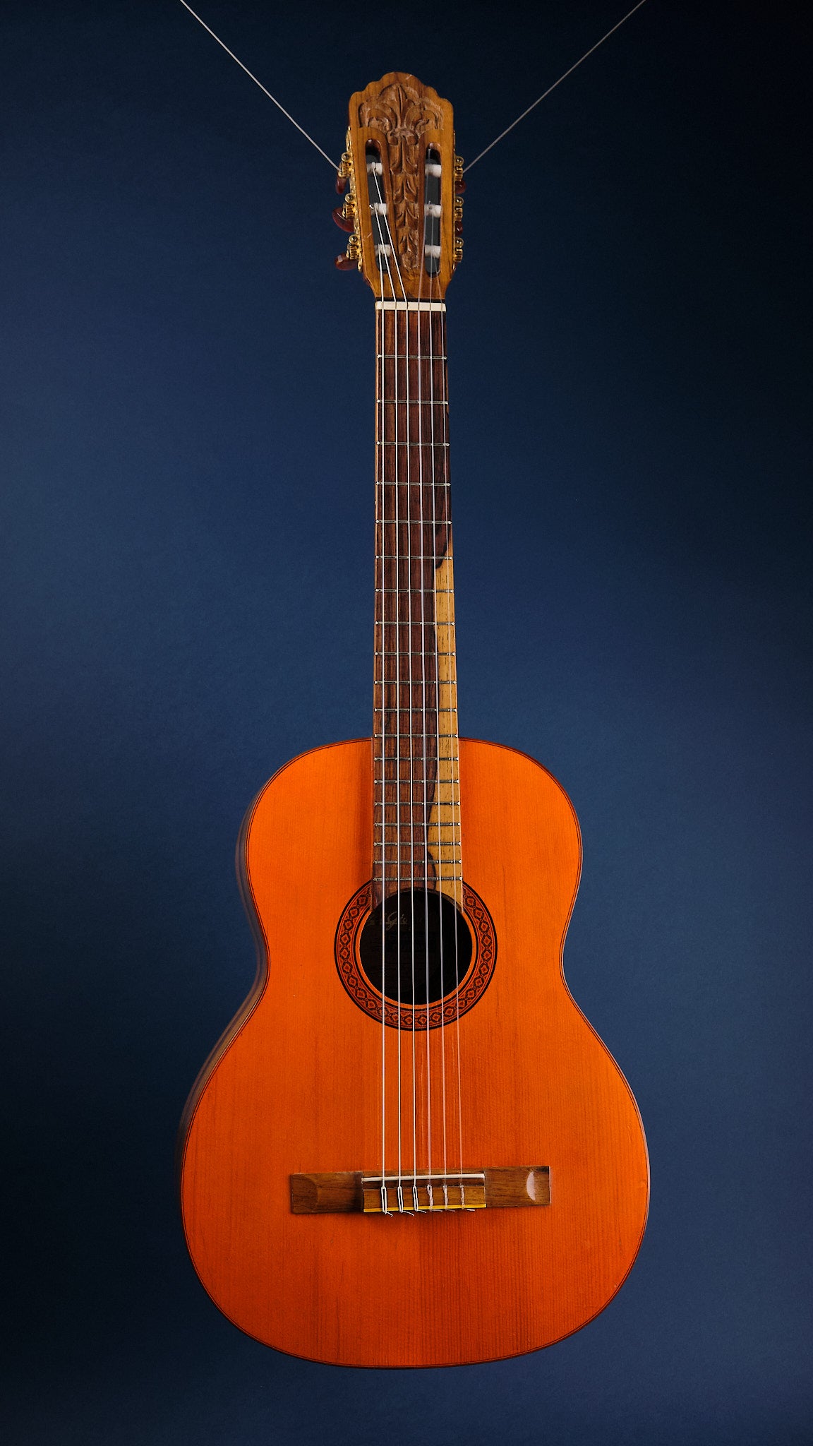 1975 Di Giorgio Signorina No. 16