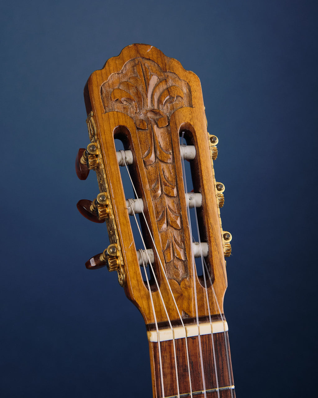 1975 Di Giorgio Signorina No. 16