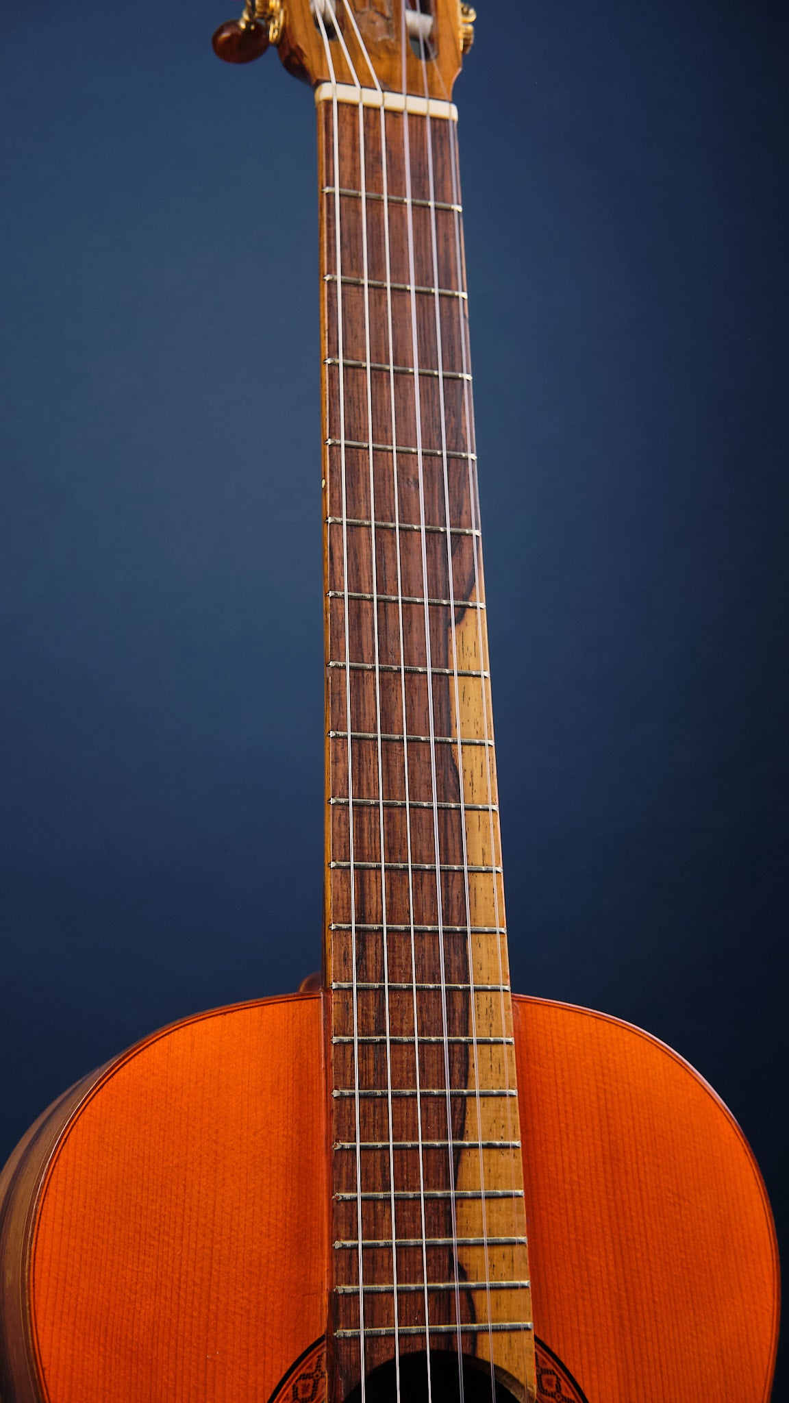 1975 Di Giorgio Signorina No. 16