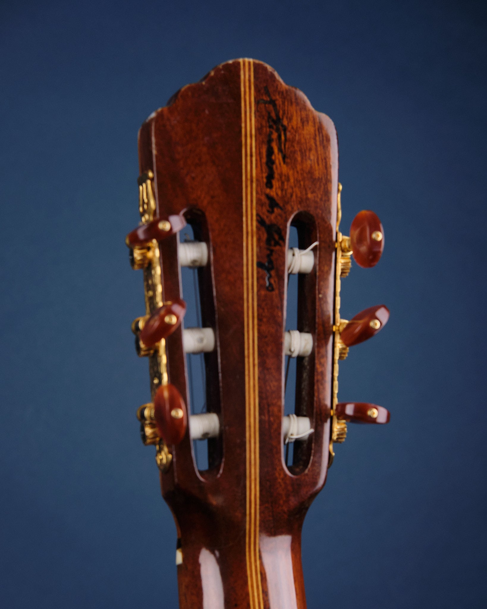 1975 Di Giorgio Signorina No. 16