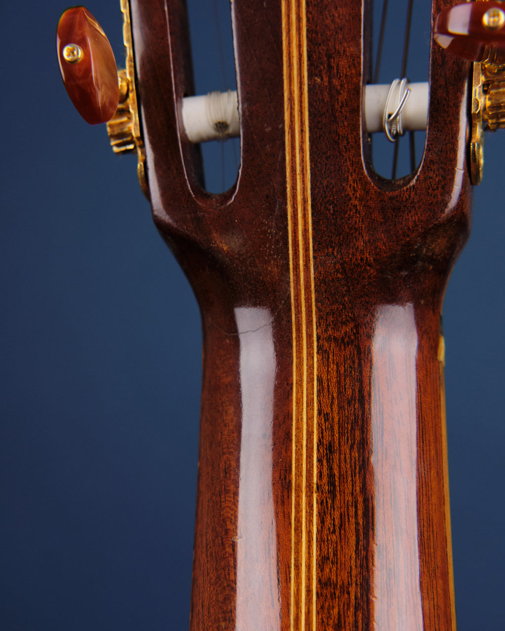 1975 Di Giorgio Signorina No. 16