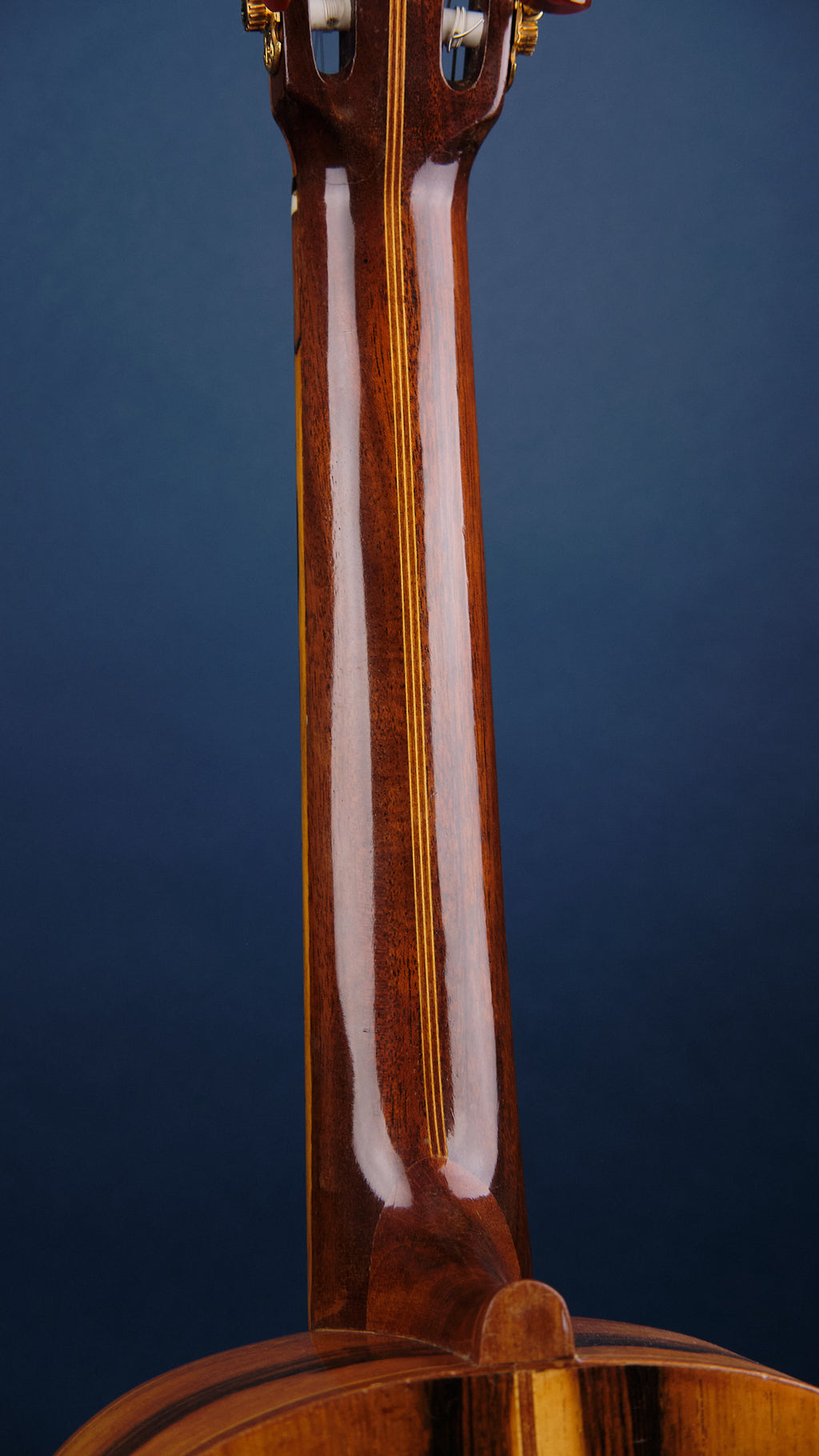 1975 Di Giorgio Signorina No. 16