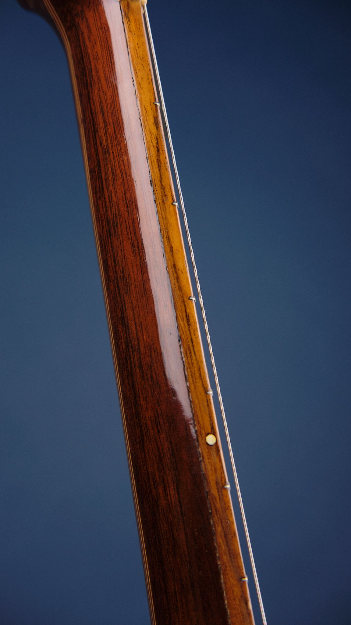 1975 Di Giorgio Signorina No. 16