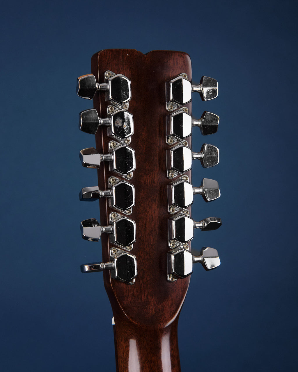 1970s Fender F-55-12 Natural