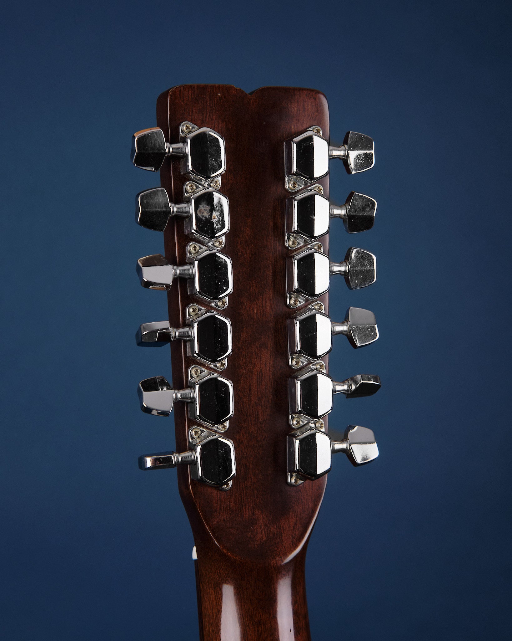 1970s Fender F-55-12 Natural