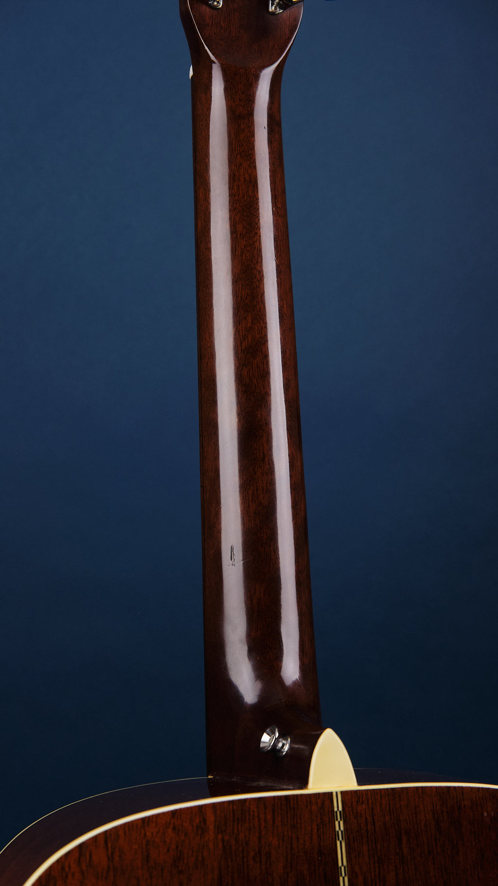 1970s Fender F-55-12 Natural