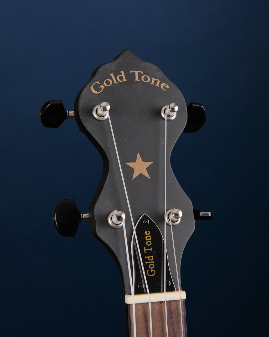 Gold Tone AC-1FL Fretless Banjo (Second-Hand)