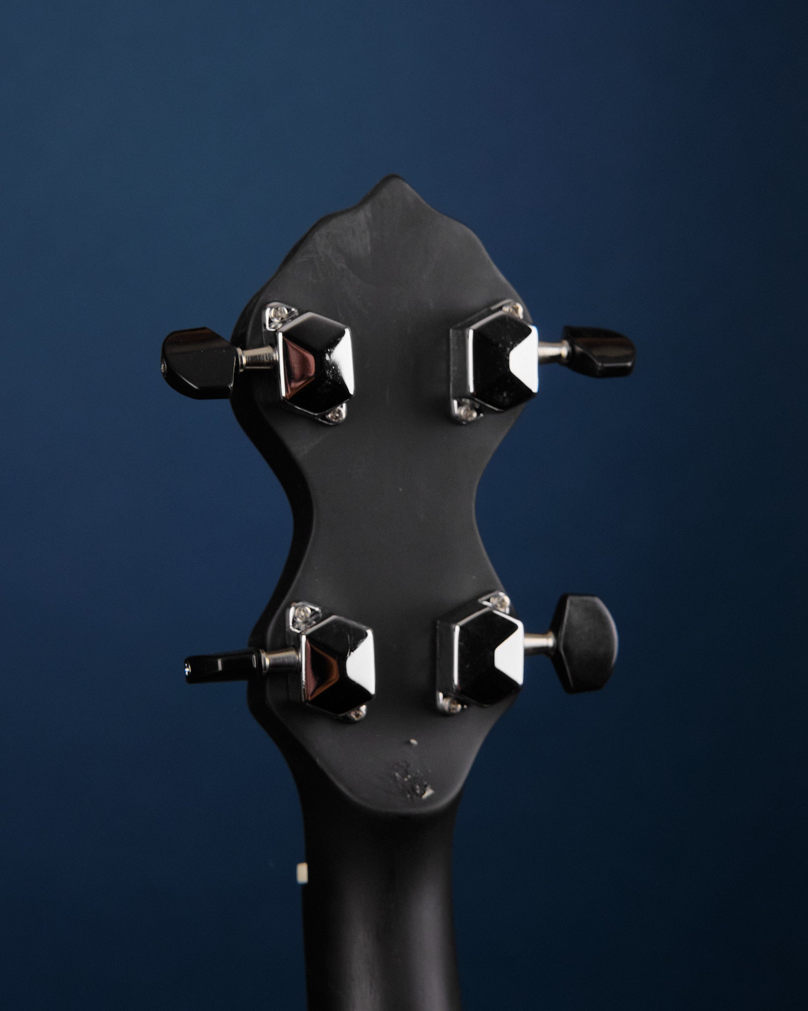 Gold Tone AC-1FL Fretless Banjo (Second-Hand)