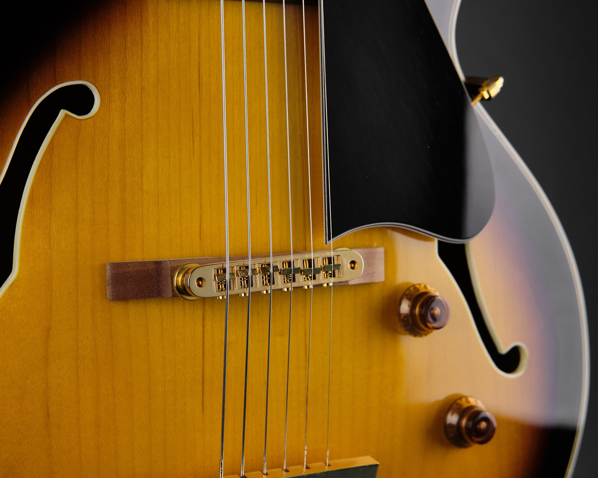 2000s Burny RFA-65 Sunburst