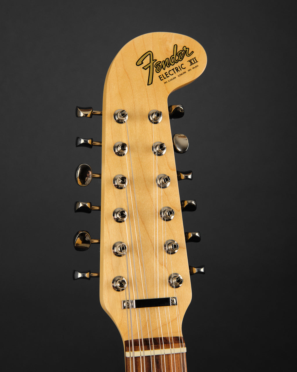 2019 Fender Alternate Reality Electric XII Lake Placid Blue