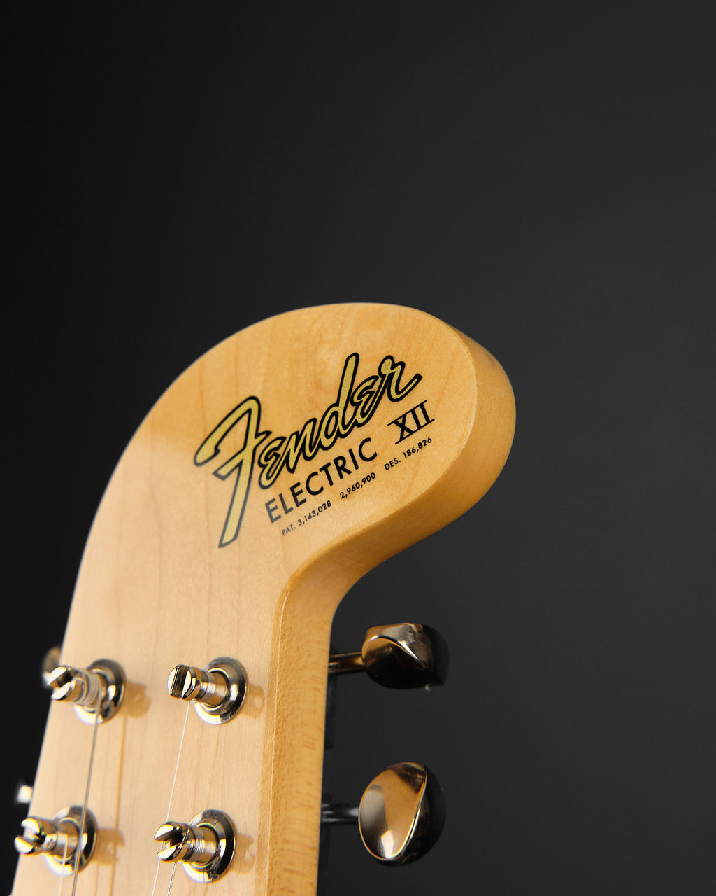 2019 Fender Alternate Reality Electric XII Lake Placid Blue