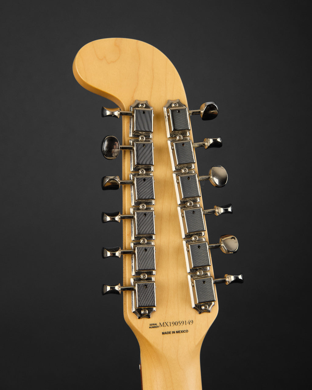 2019 Fender Alternate Reality Electric XII Lake Placid Blue