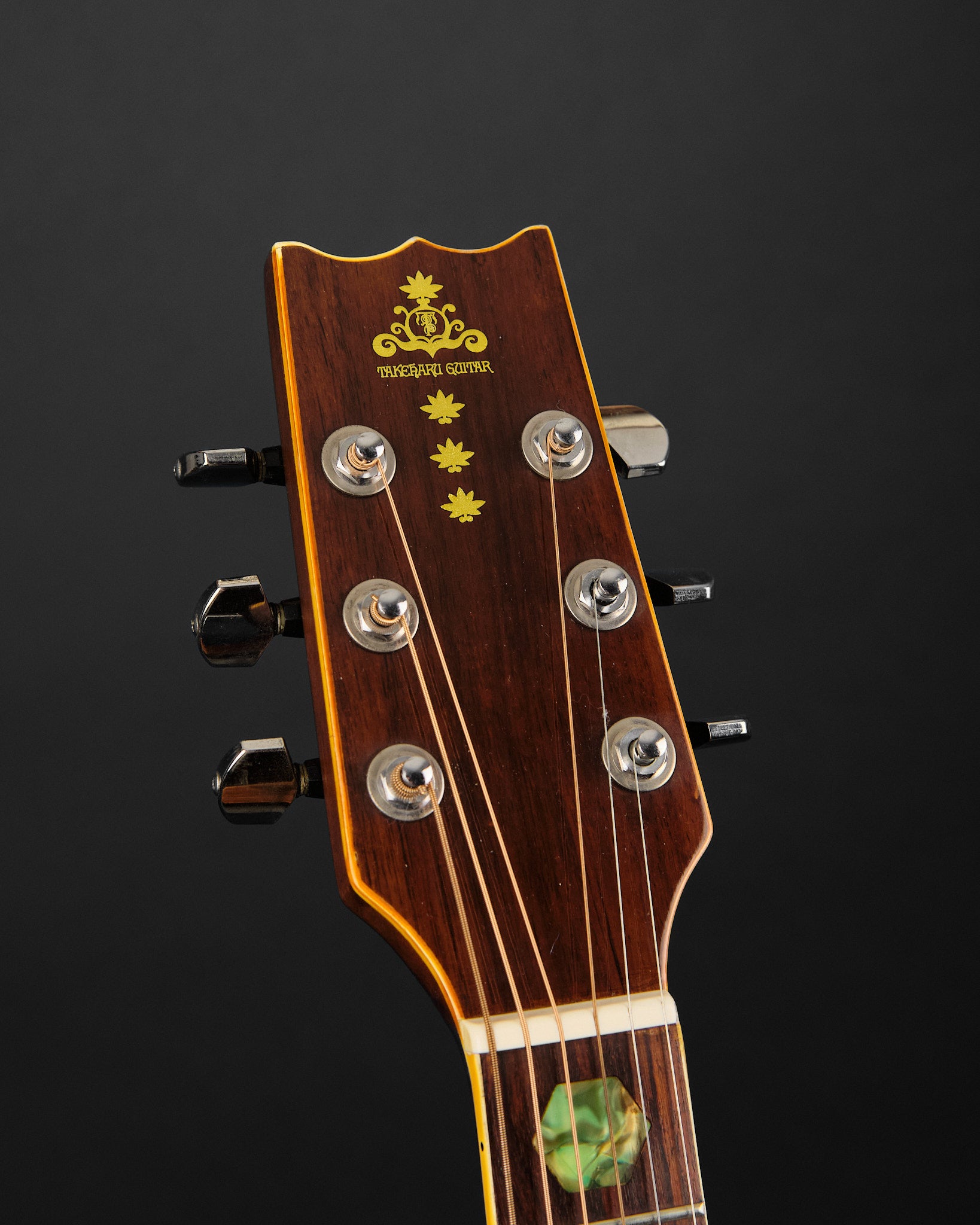 1977 Takeharu WT300 Dreadnought Natural