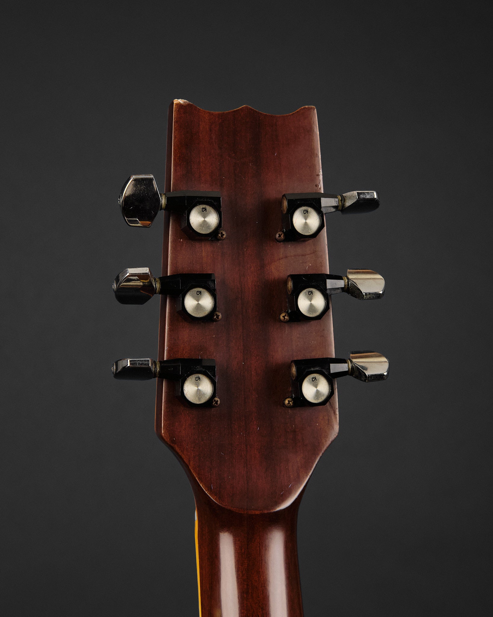 1977 Takeharu WT300 Dreadnought Natural