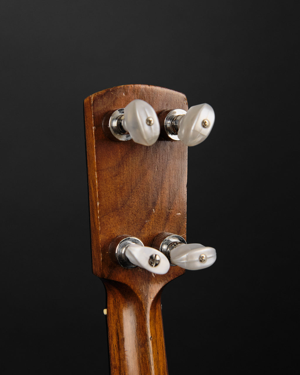 1920s The Windsor Popular Model 2 5-String Banjo