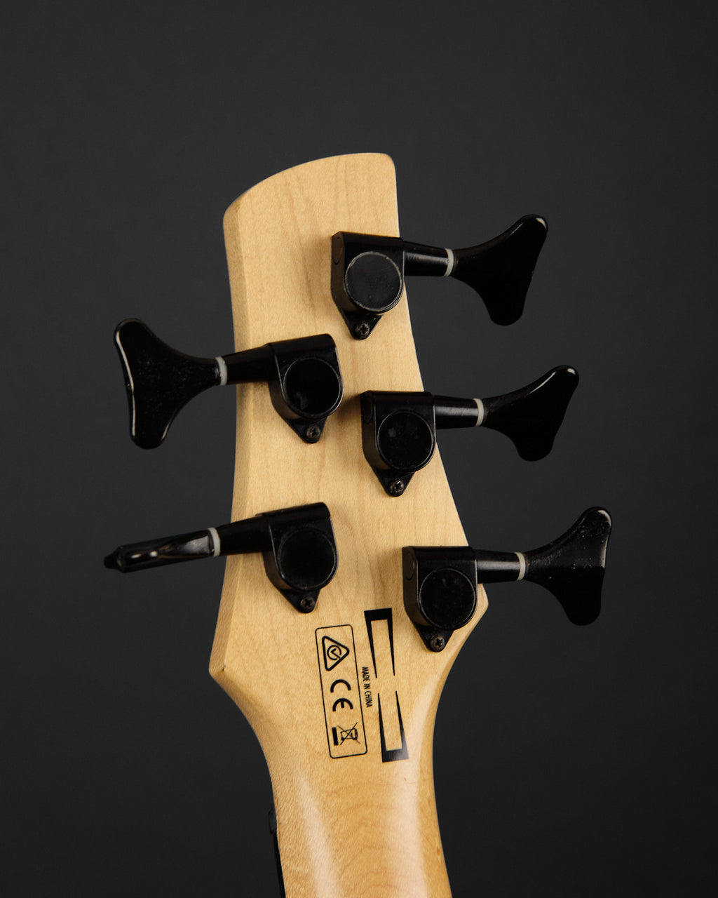 Ibanez GIO GSR205SM 5-String Natural Grey Burst (Second-Hand)