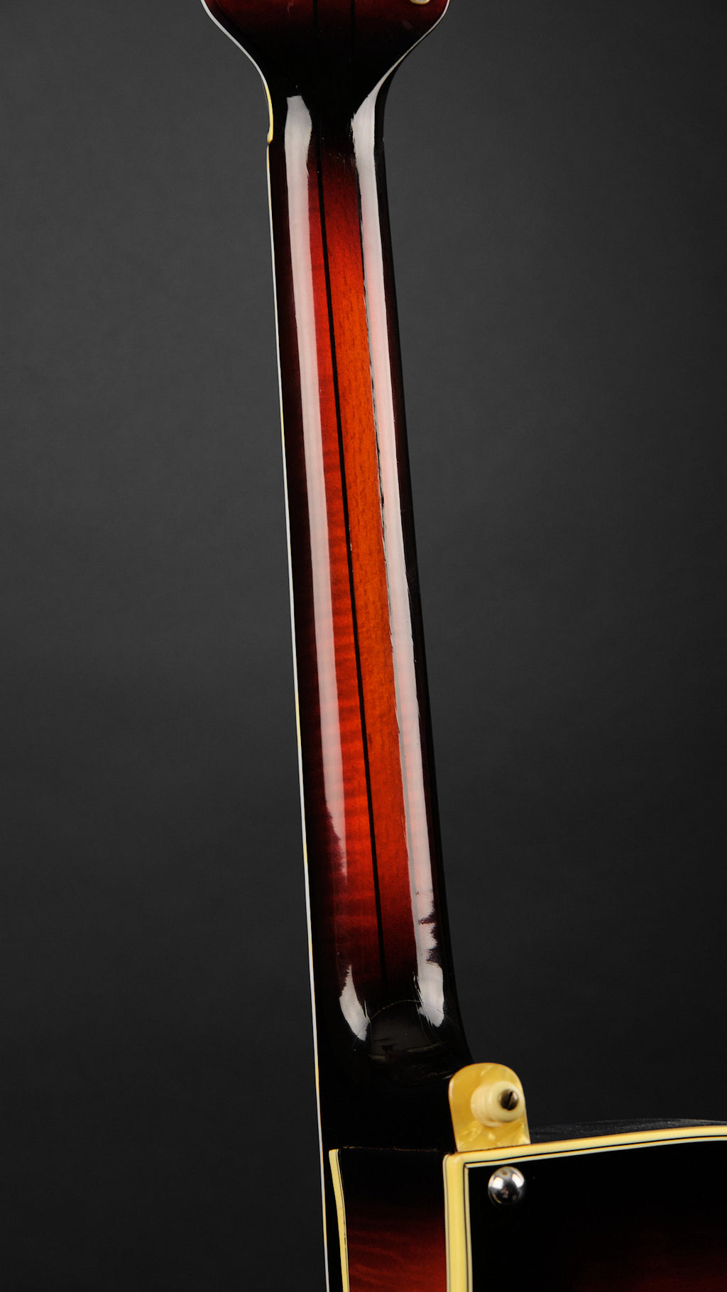 1950s Hoyer Special Sunburst