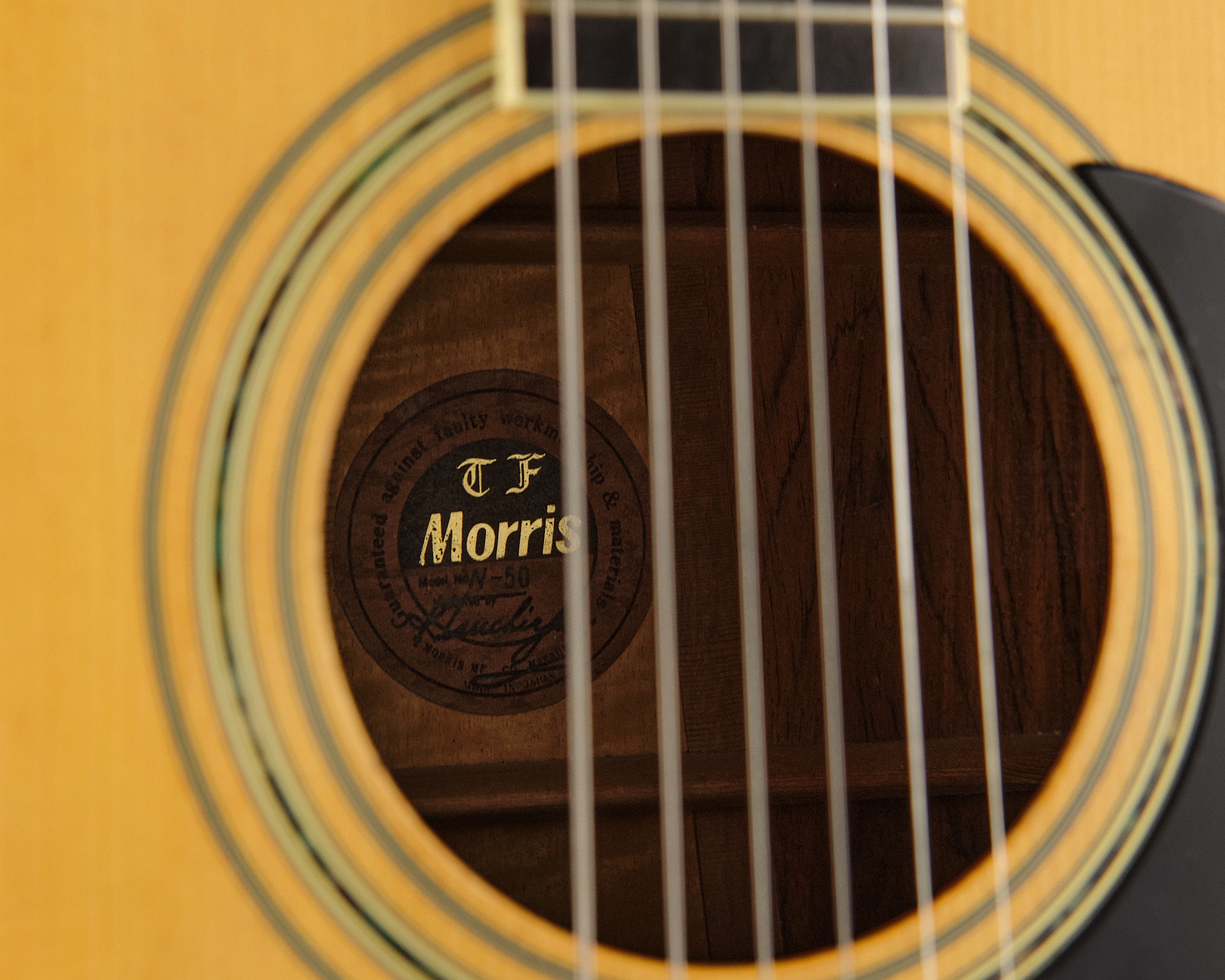 1970s Morris W-50 Spruce