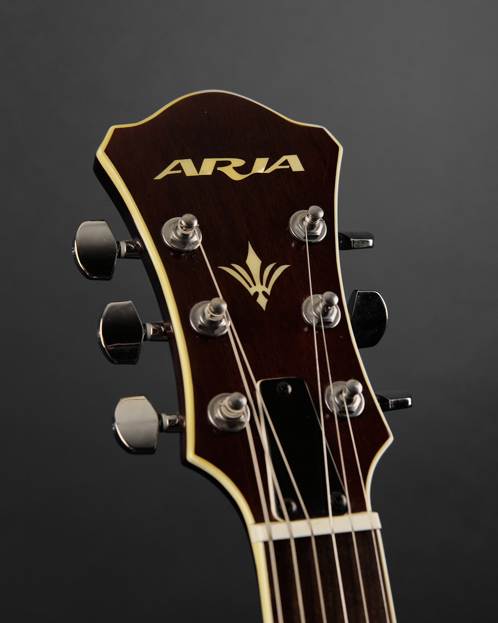 Aria FA-75 Walnut (Second-Hand)