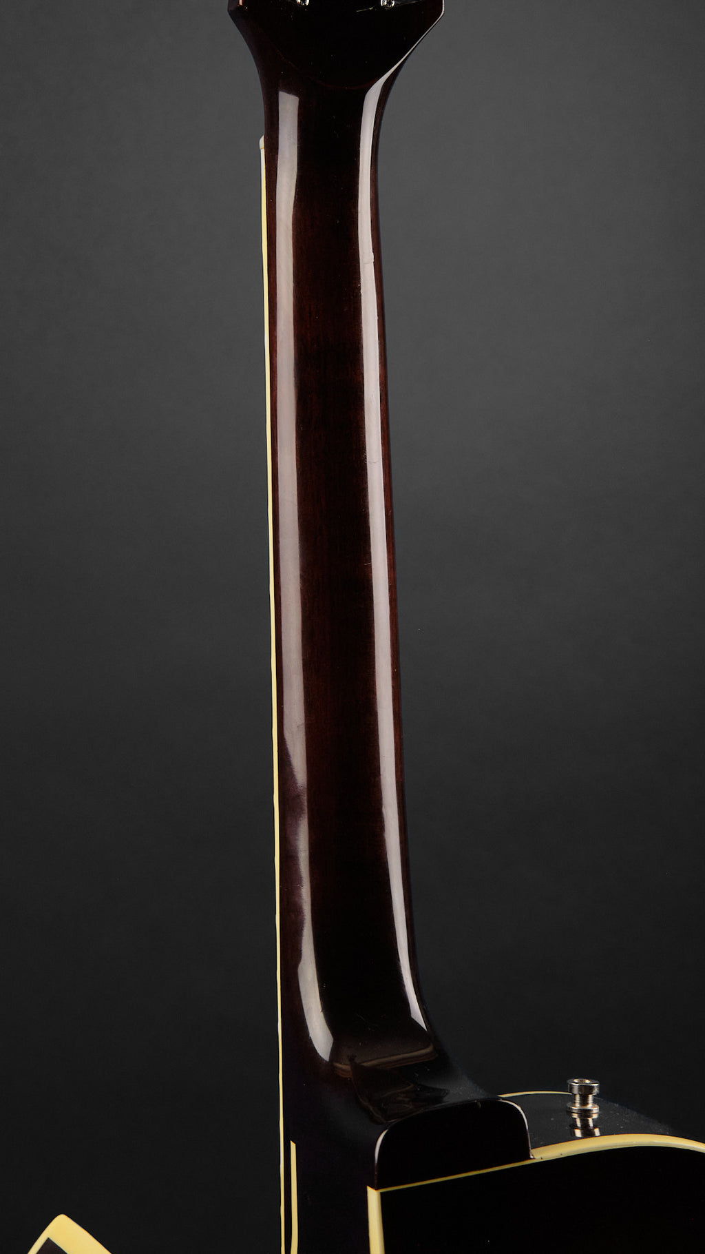 1980 Shiro ES-175 Sunburst