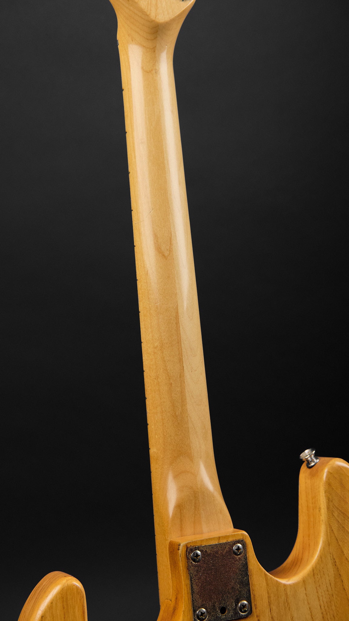 1980s Peavey T-15 Natural