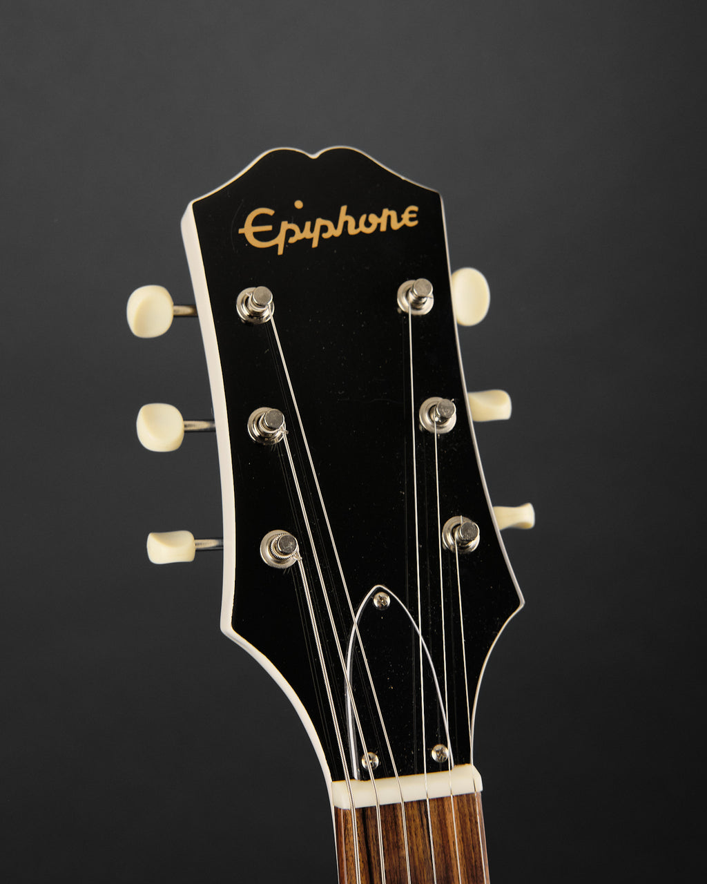 2019 Epiphone George Thorogood Signature White Fang ED-125 TDC Bone White