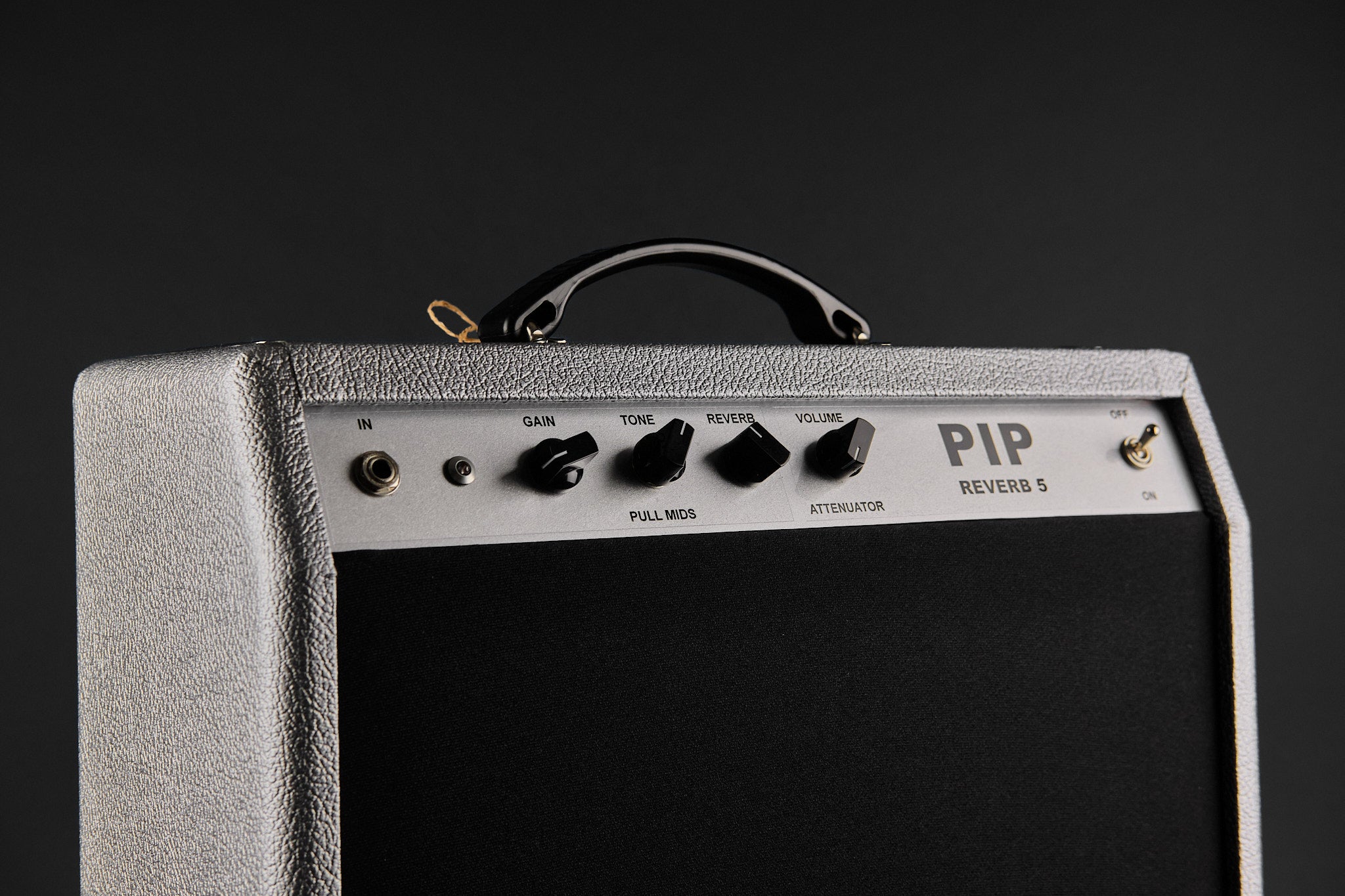 Lance Amplification Pip Reverb 5 (New)