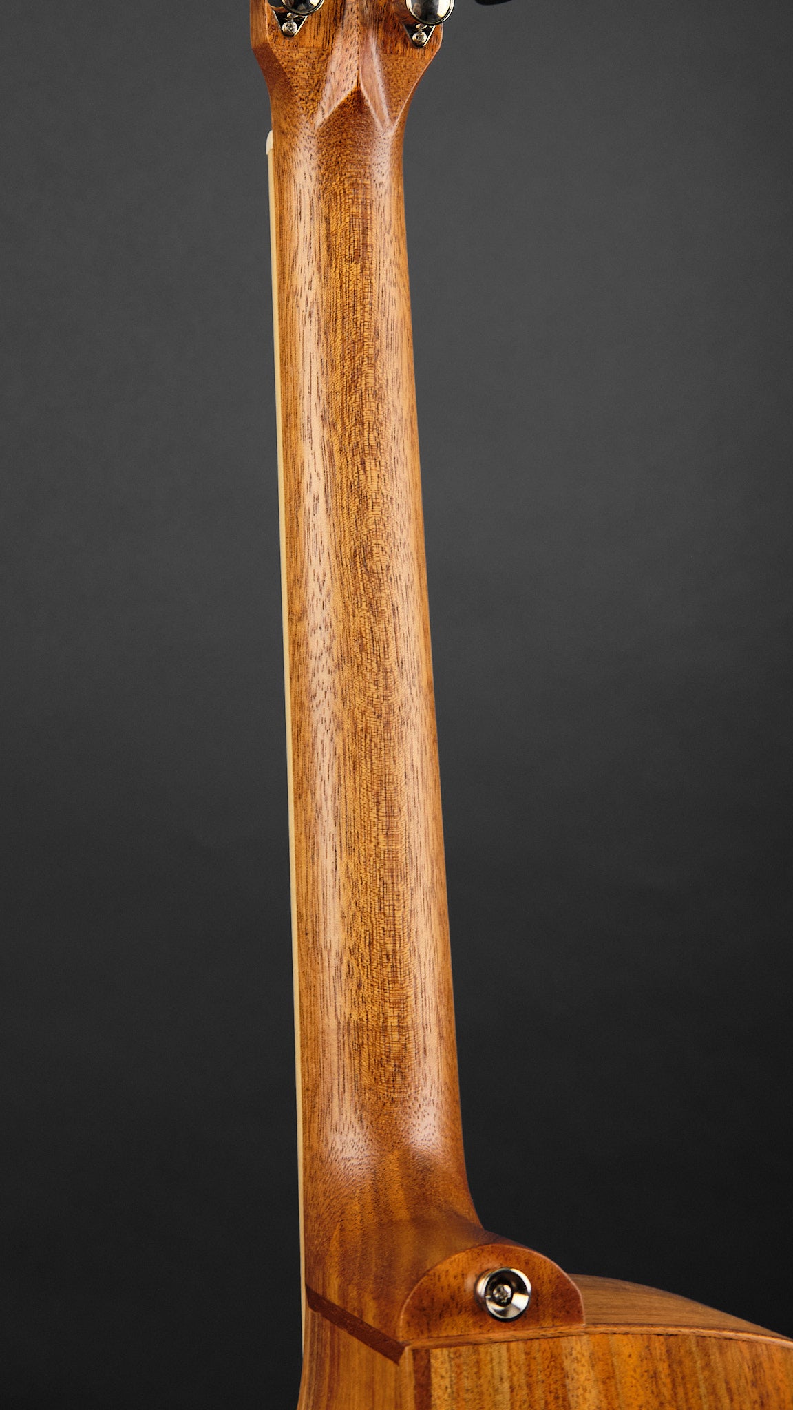 Cole Clarke SAN1EC-BLBL Studio Grand Auditorium Blackwood (Second-Hand)