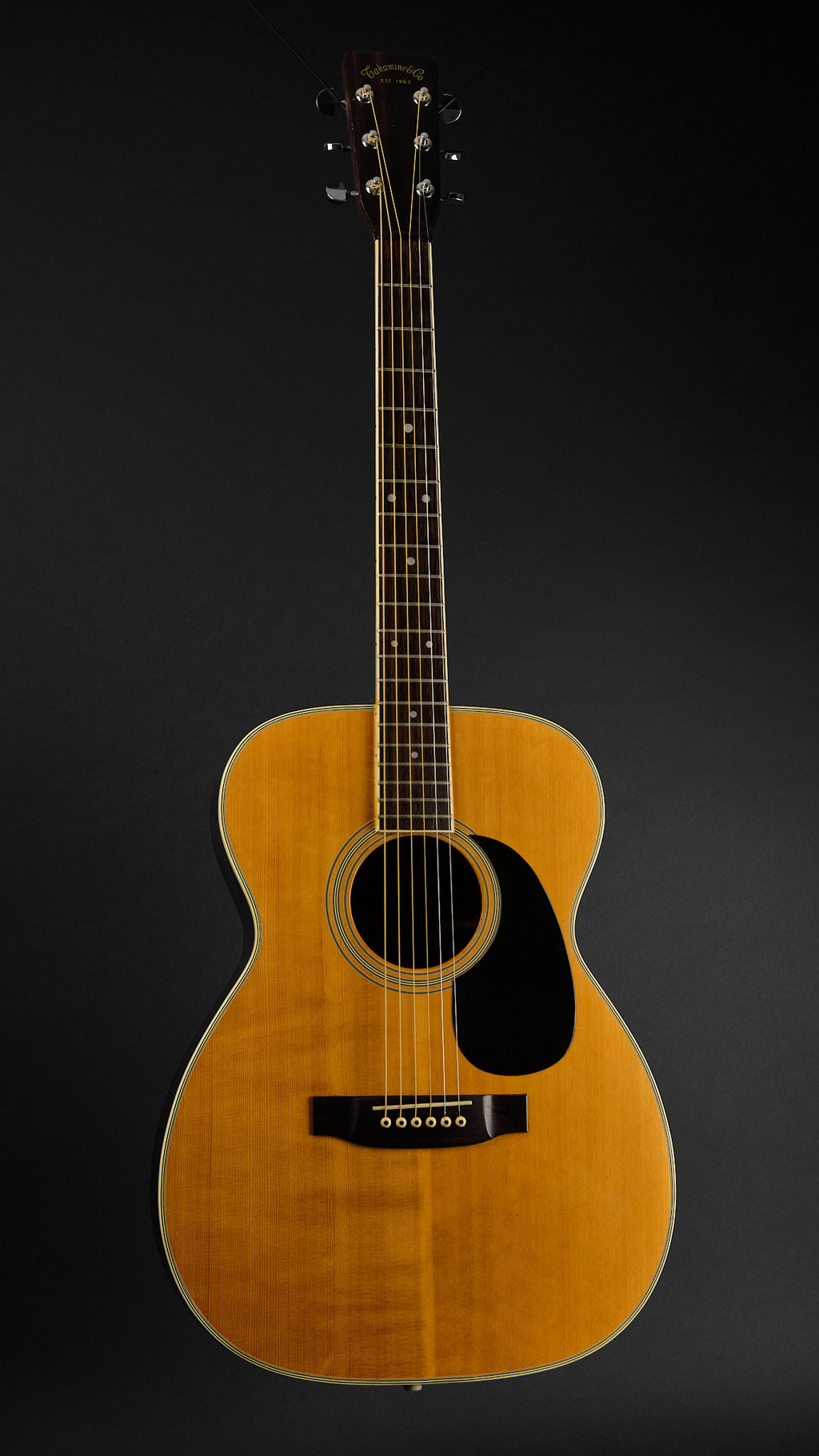 1977 Takamine F-310S Natural