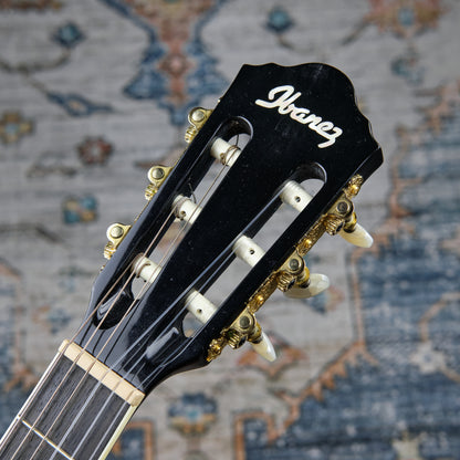 Ibanez AEG10NII Cutaway Nylon String (Second-Hand)