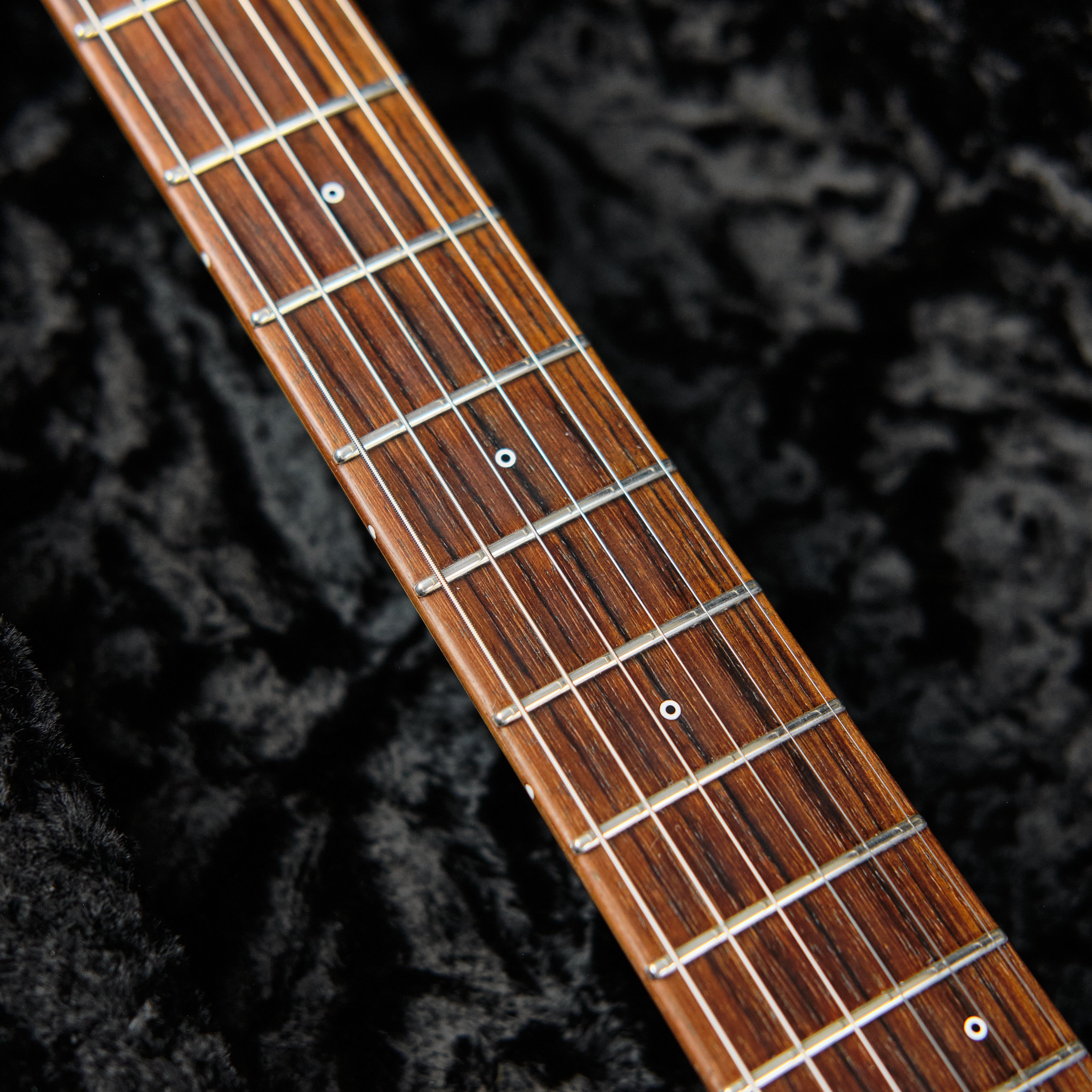 2022 Shabat Lion Special Sunburst