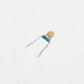 Replay Treble Bleed Mod Capacitor & Resistor