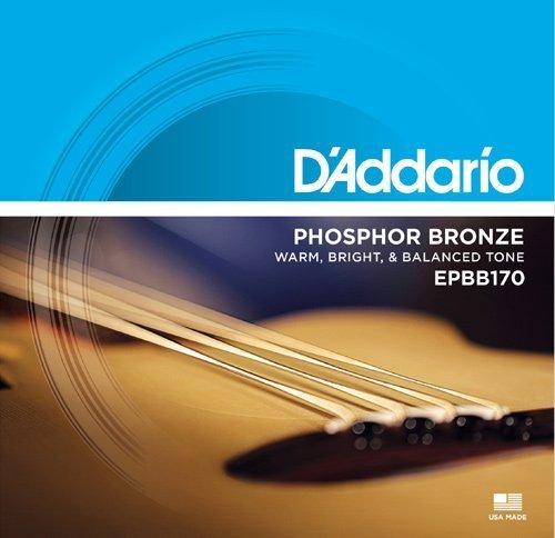 D'Addario Acoustic Bass Strings | Replay Guitars